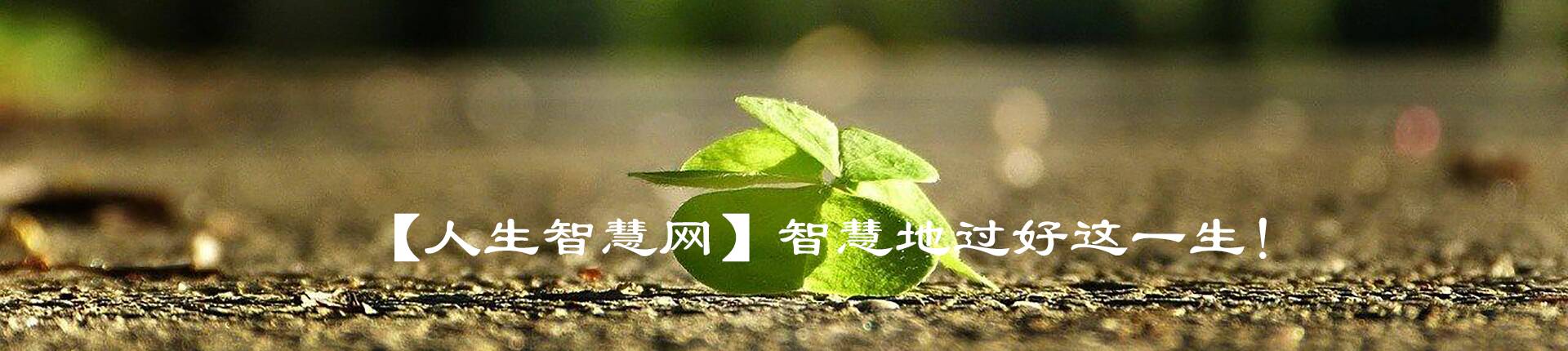 《重大人生启示录》在线阅读（这是作者龚咏雨办的网站）。【人生痛苦治愈网】：治愈人生各种痛苦。另有公益心理咨询师、婚姻咨询、分离小三劝退。