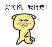 动图封面